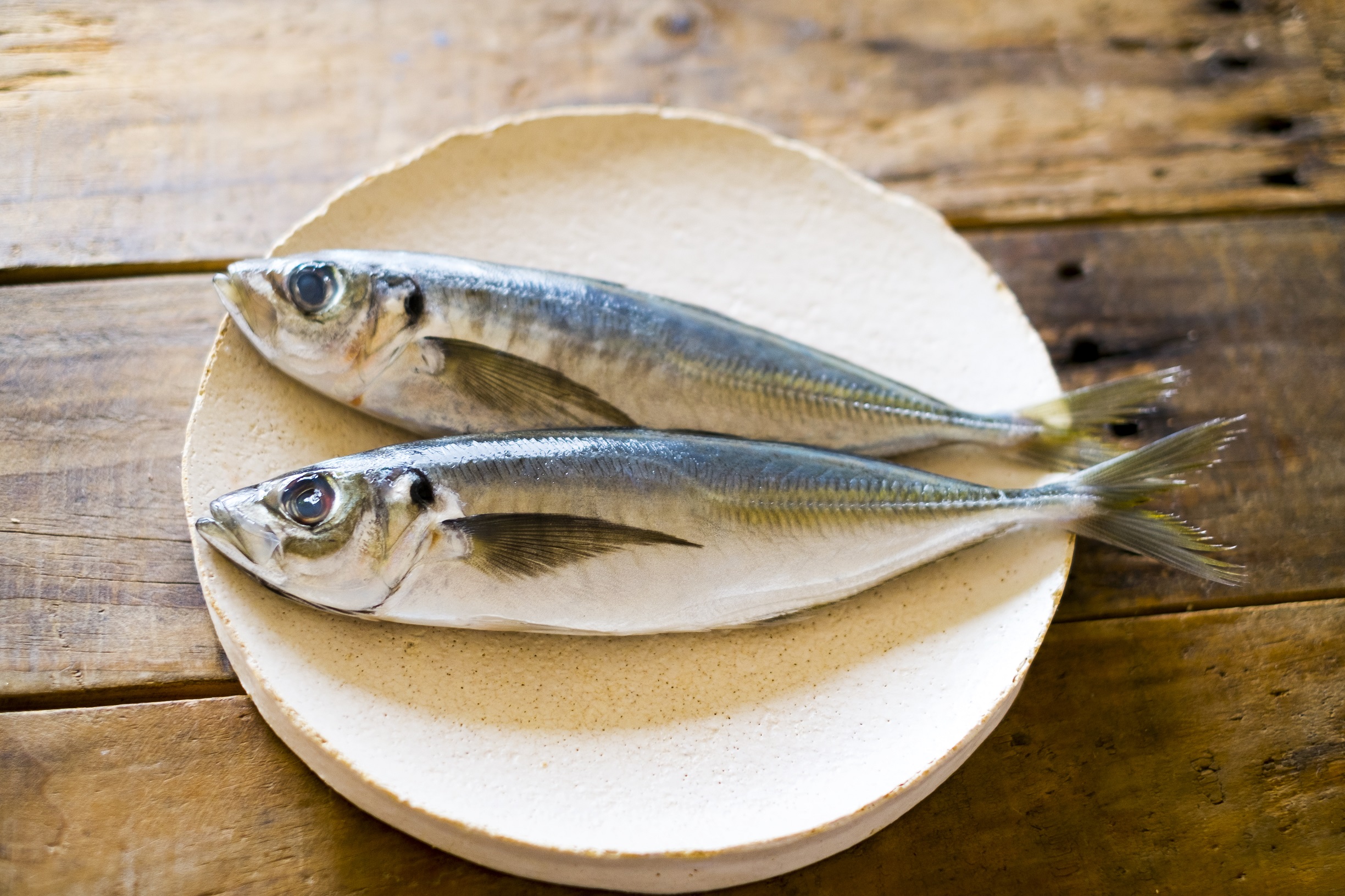 特別講座 お魚の料理教室 魚のさばき方 不定期開催 トップページ 名古屋の料理研究家 料理教室サンテです
